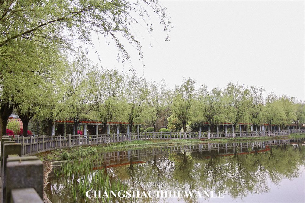 你好，湖南中医药大学！