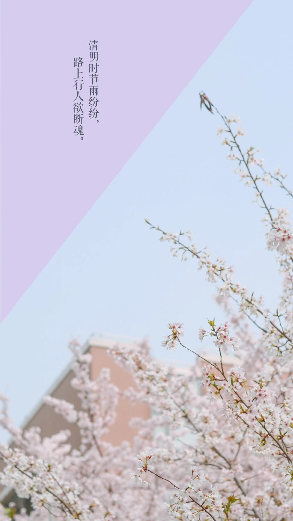 中国这10所大学壁纸第二期！厦门大学、中山大学等在列