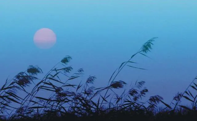 思乡的三十首古诗词