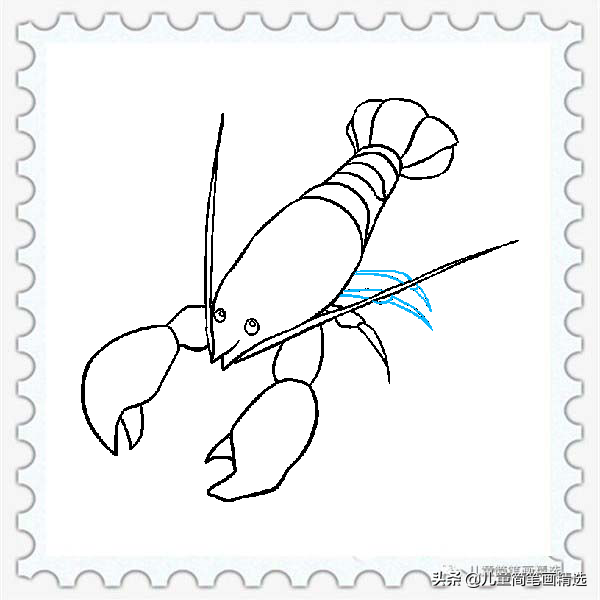 儿童简笔画精选-如何画一只龙虾（Lobster）