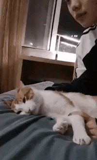 NUC8 打造 99%完美黑苹果，最简洁的抄作业方案