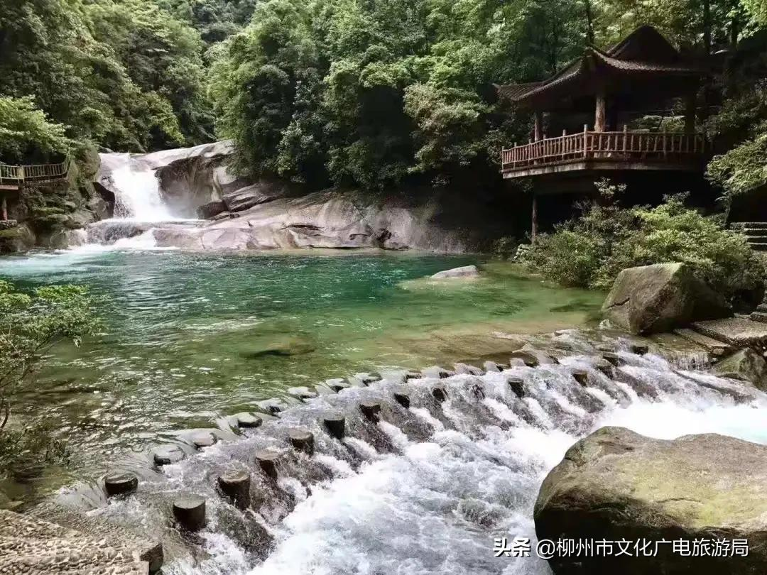 满山金色稻浪,为你换一屏秋色