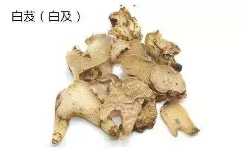 想种植中药材,但不知道种什么?这里有答案