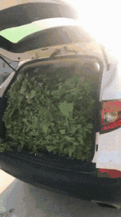 看过大侄子造的句，大嫂浑身来气，我大哥愣是一周没敢回家！哈哈