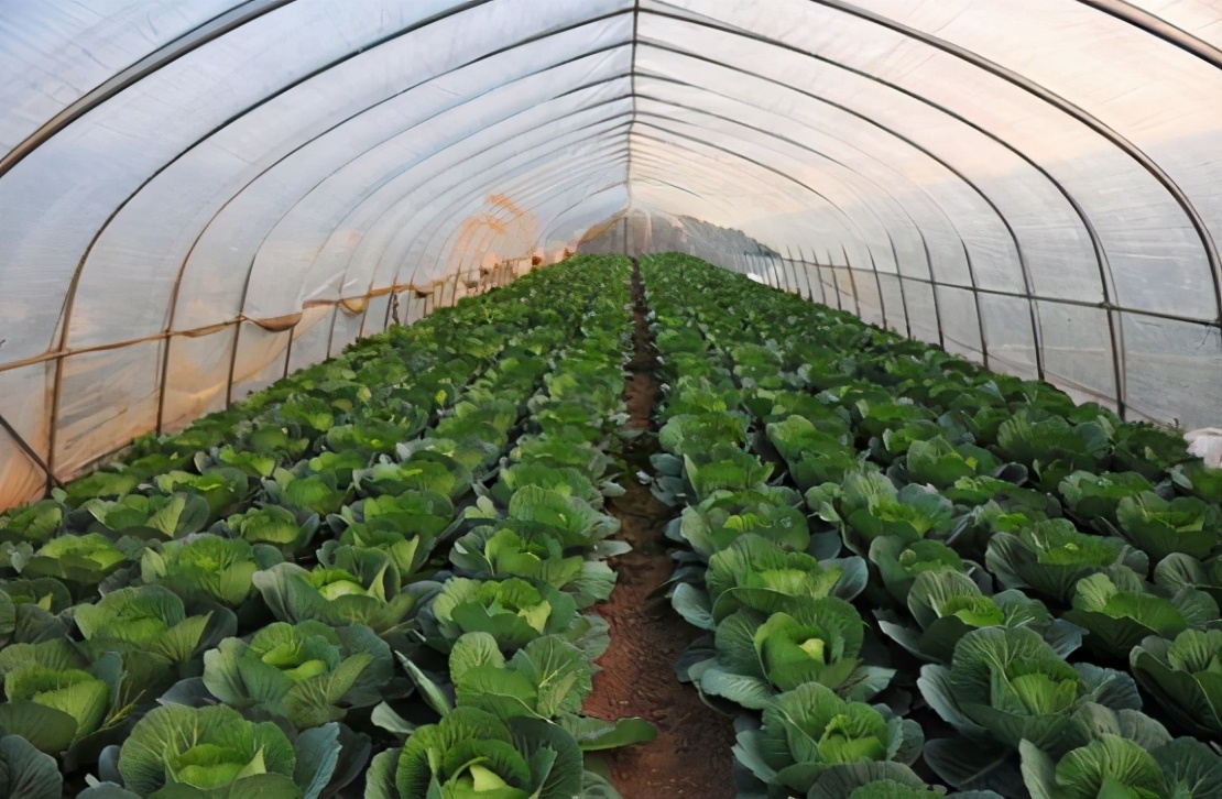 武汉这所高校“很低调”，隶属于国家教育部，但报考专业相对冷门