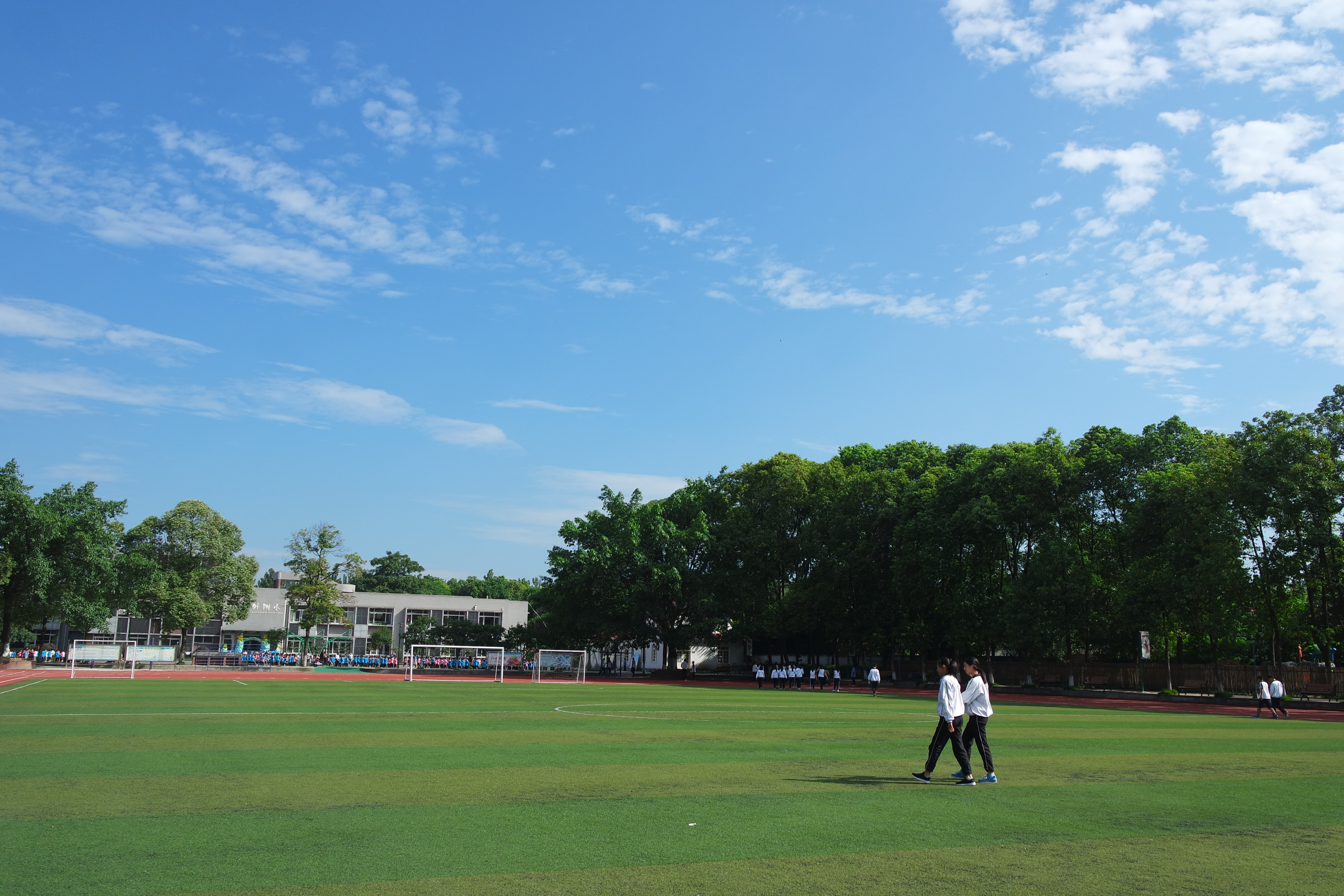 公有民办，关爱若盐——成都盐道街外国语学校