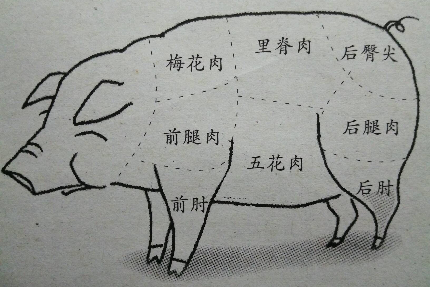 買豬肉:裡脊肉,梅花肉,豬腿肉,五花肉,哪塊豬肉更值得買?