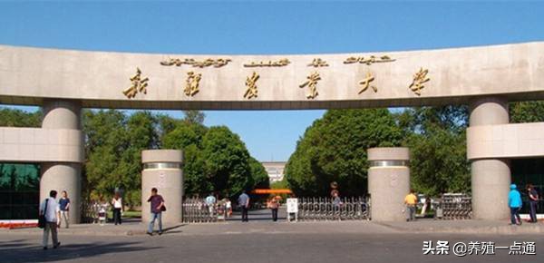 决肯·阿尼瓦什（哈萨克族），新疆农业大学教授，遗传育种专家