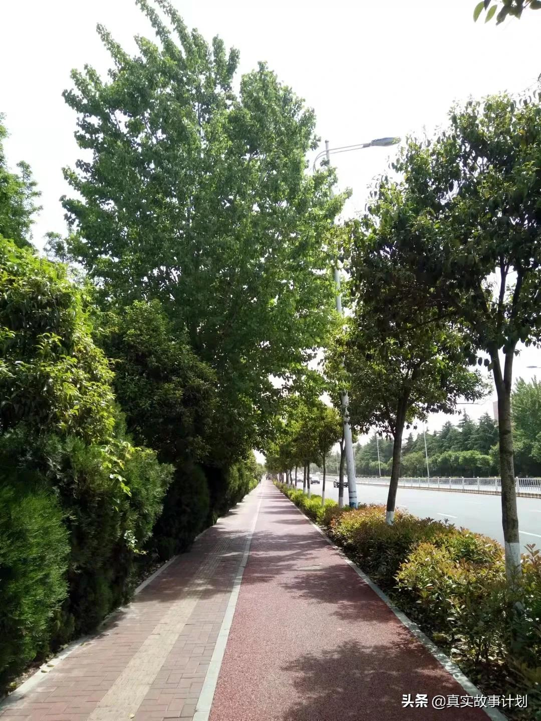 90%以上考研率,宿舍抱团考研:县城里的大学如何逆袭考研神校?