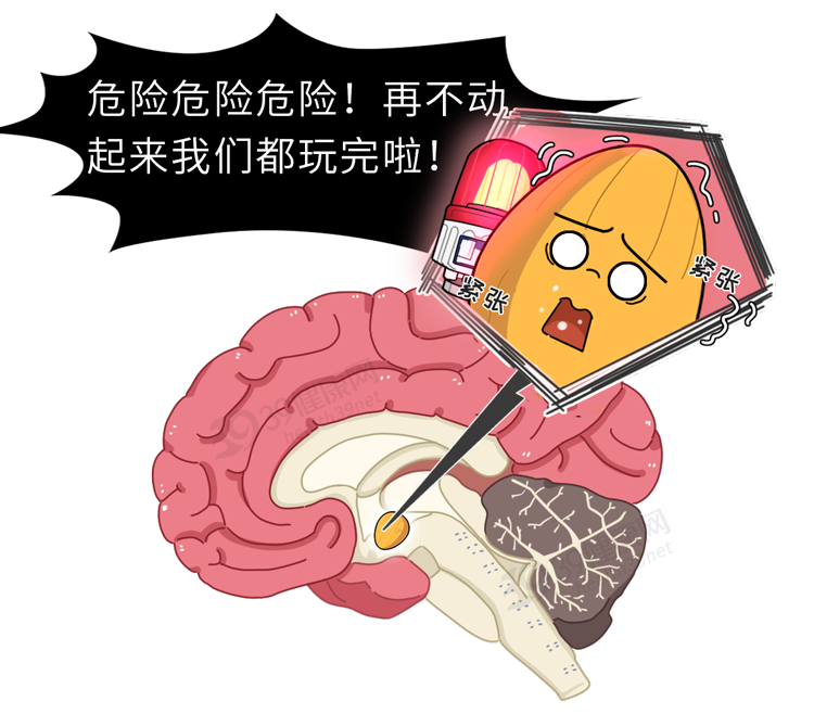 站在高处时，为什么会有纵身一跃的冲动？原来这是一种死亡本能