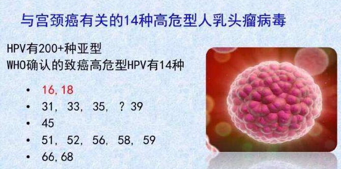 国产hpv疫苗到底要不要打?有何利弊?女性朋友先了解清楚这4件事