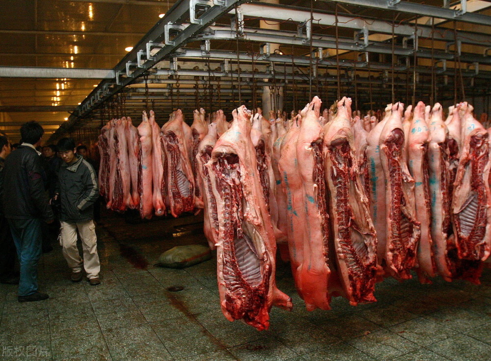 今天11月15日,全国各地调整后生猪价格行情