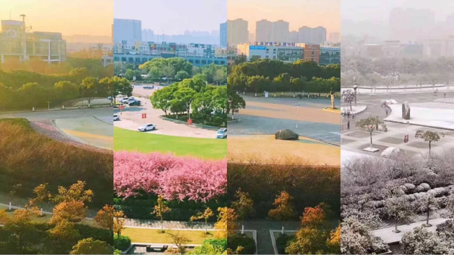 上海大学值得报考吗？3个字母、6个角度，为你解析这所211高校！