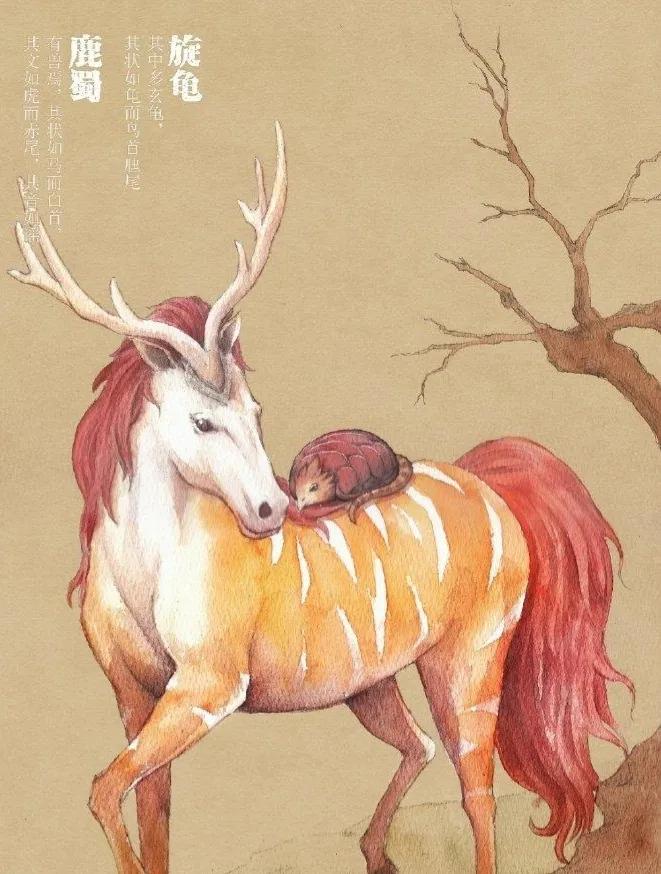 山海经之(爪多)即