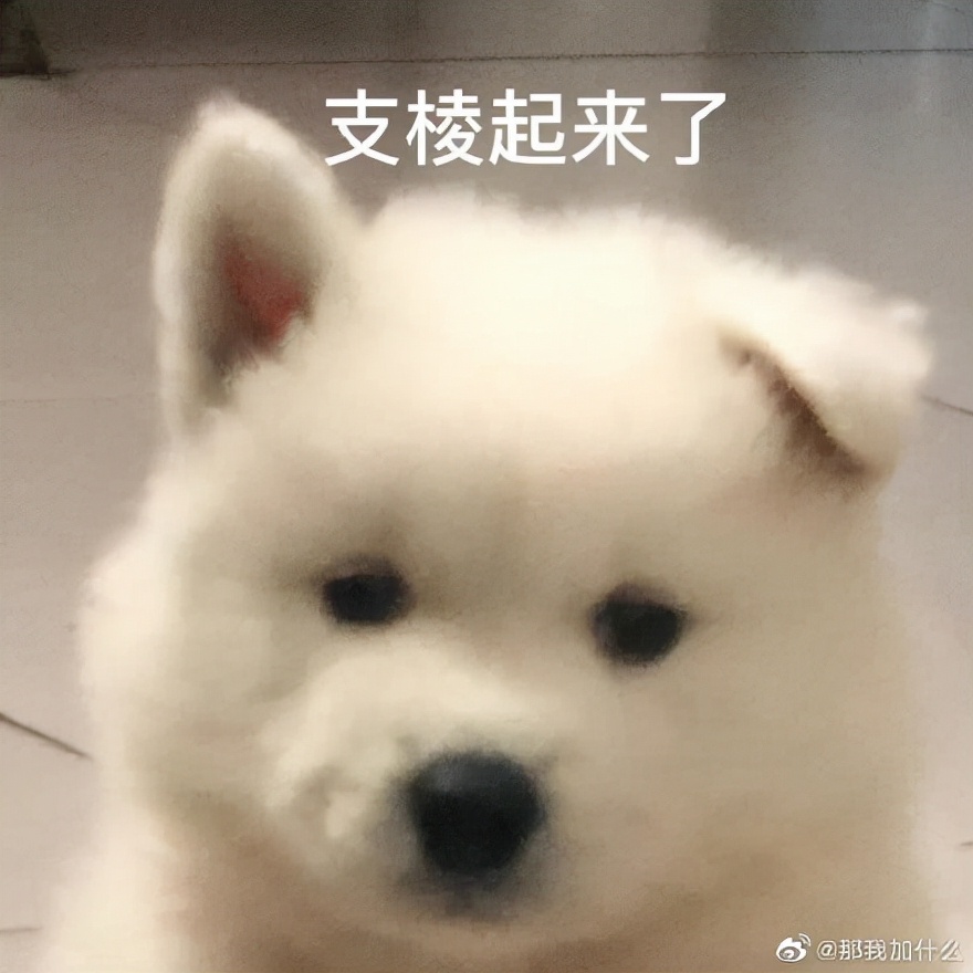 戴森吸尘器电池滤芯也能免费上门更换？这么方便？