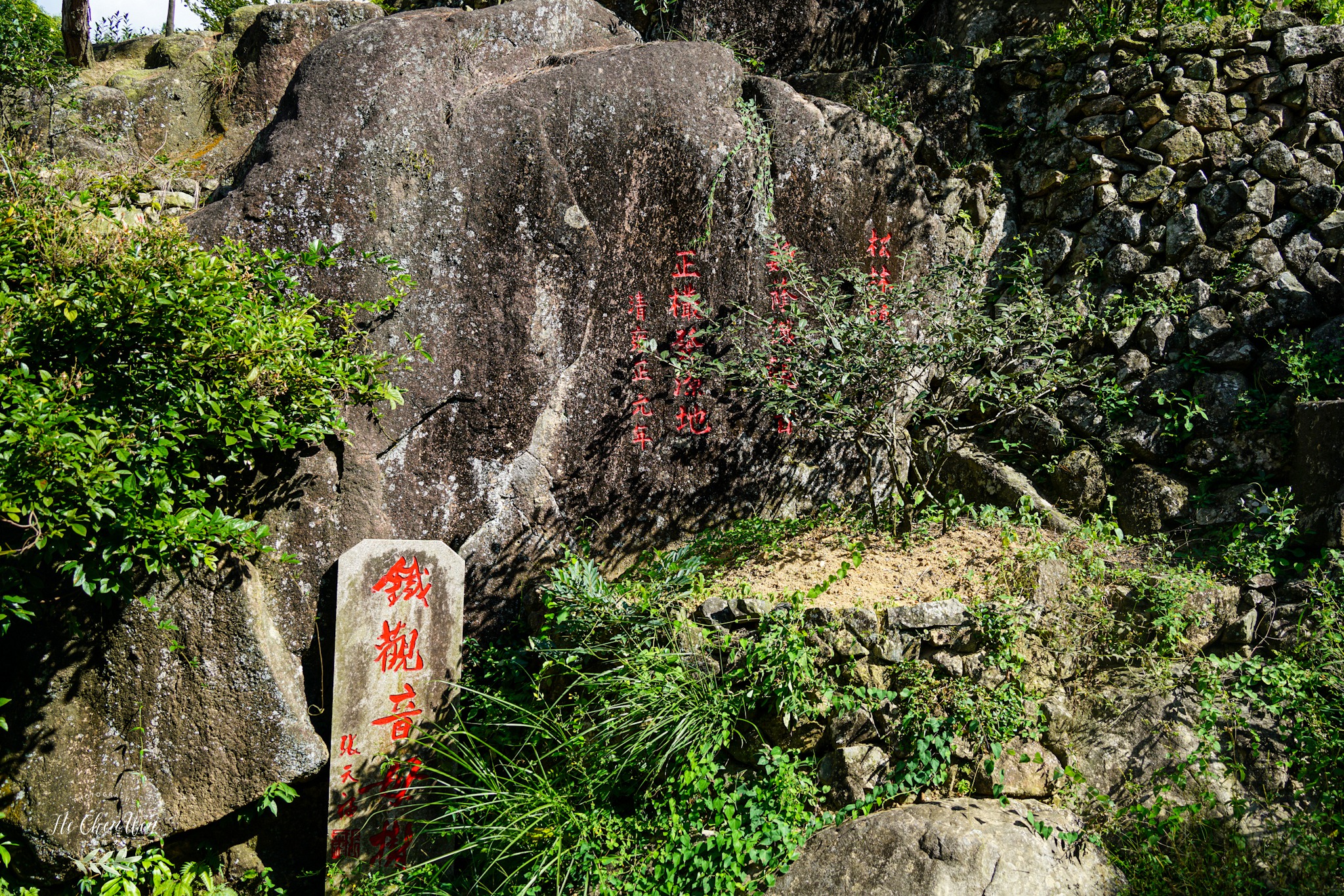 铁观音发源地（探访中国十大名茶之一铁观音的发源地）