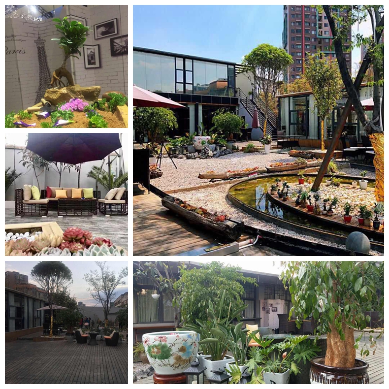 全昆明最最适合拍照的高颜值餐厅，你pick哪一家