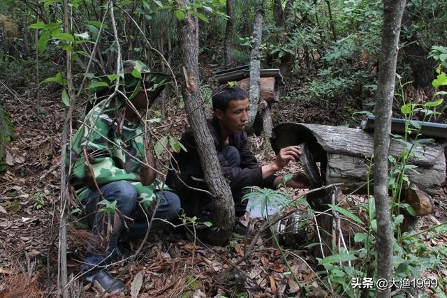 寻找最天然蜂蜜：到云南维西傈僳山寨品尝百花野蜂蜜