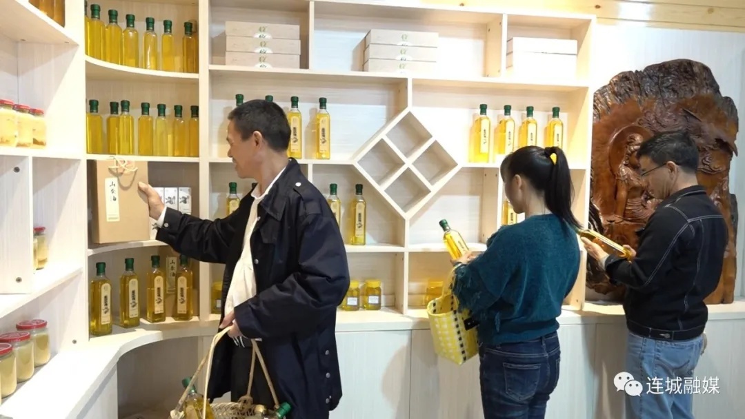 「全面推進(jìn)鄉(xiāng)村振興」連城四堡：油茶豐收采摘忙 碩果累累助增收
