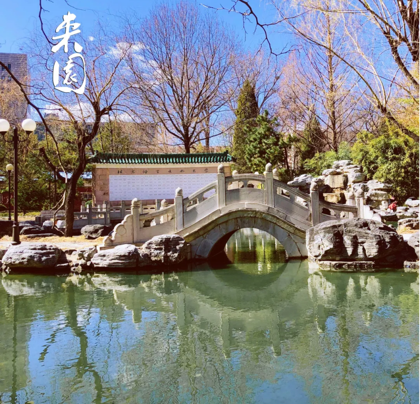 北京“超美”高校：地铁直达校门，绿化率46%，“校花”数量称霸五道口！