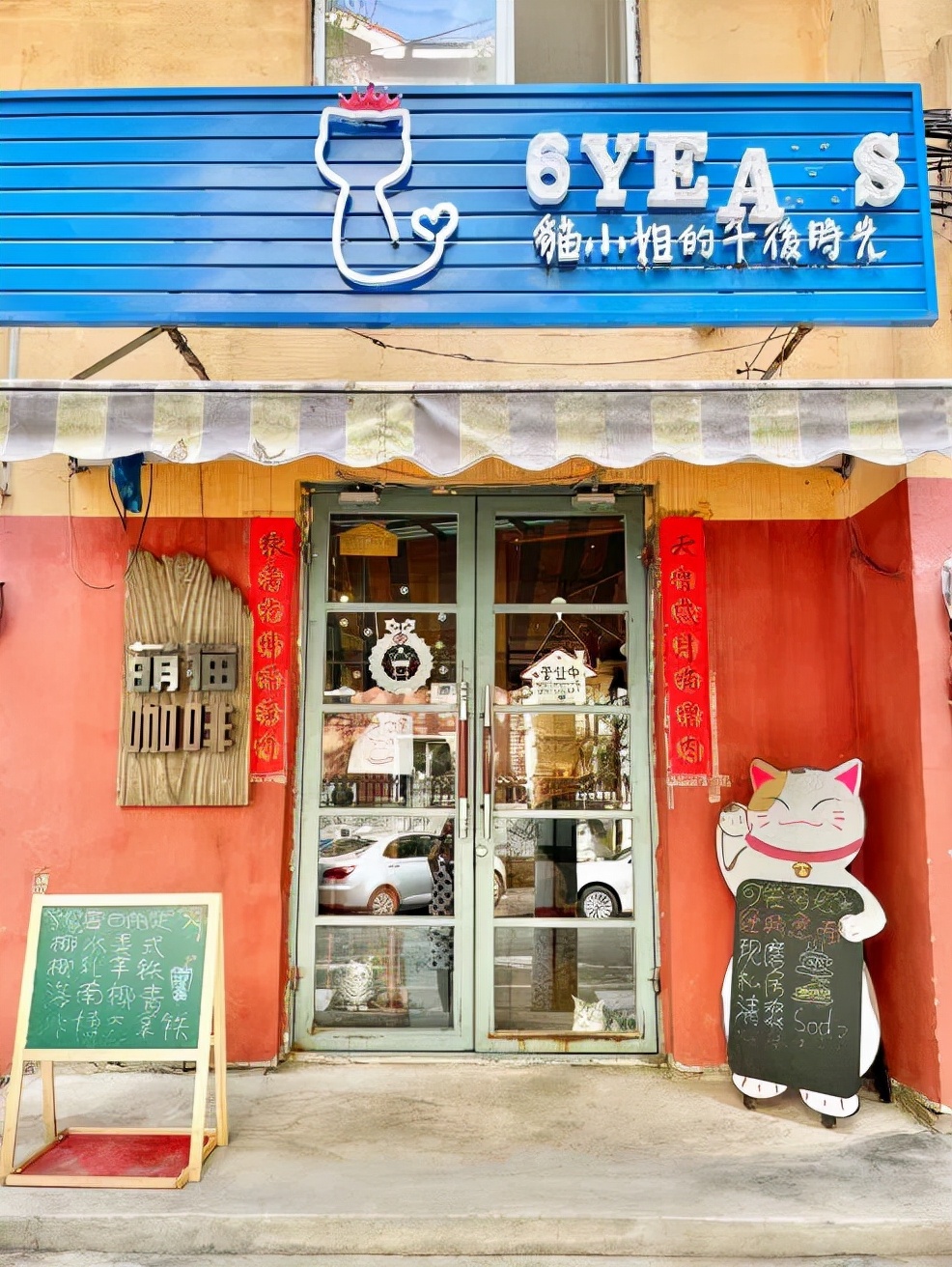 「探GAI」沈阳，那些正被猫治愈的年轻人