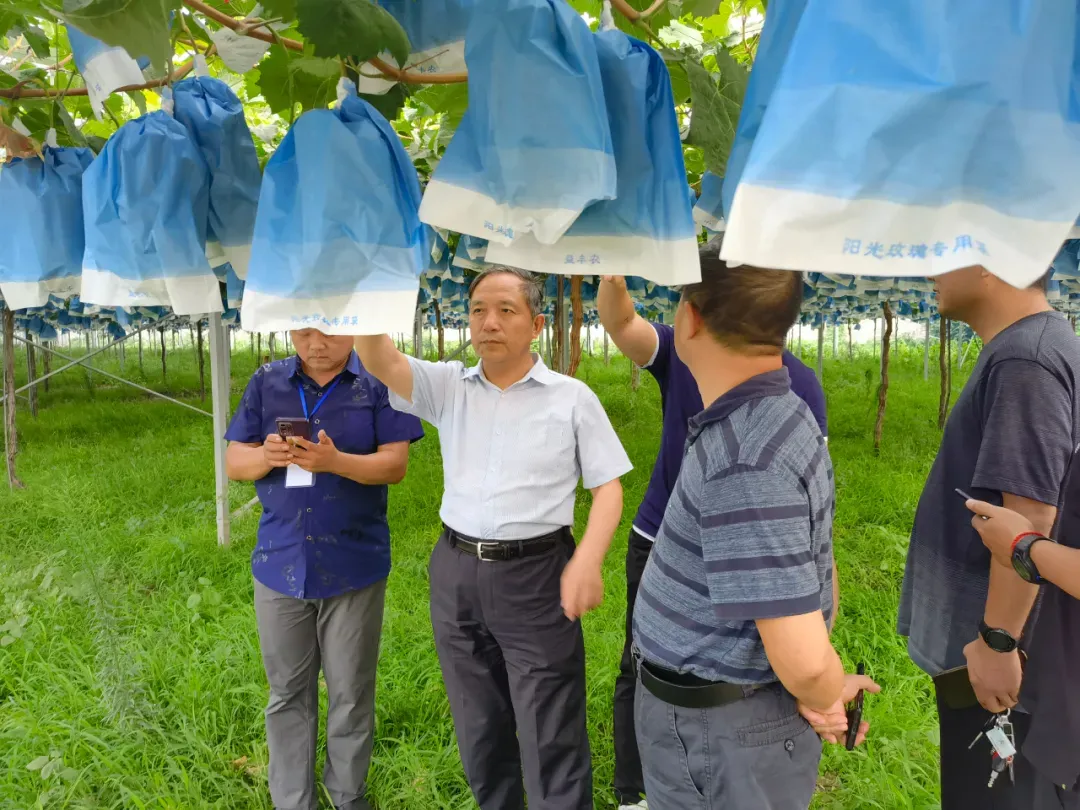 郑大“农创班”,满满“学缘情”——郑州大学农业经理人培训侧记