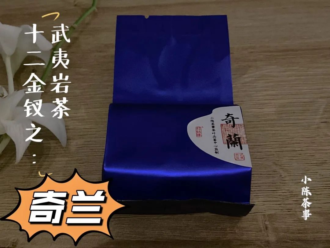 武夷岩茶十二金钗，这一次，我们准备了哪些好茶等着你？