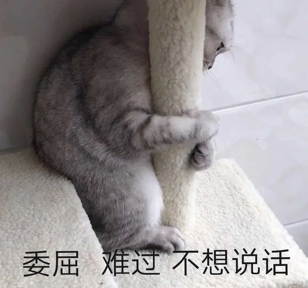 最美奔驰让老鼠赞不绝口，800买二手车是否真的是捡漏？