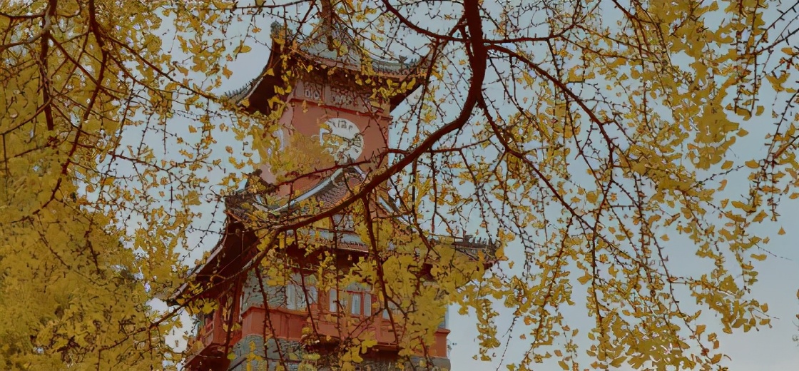 中国这10所大学壁纸第二期！厦门大学、中山大学等在列