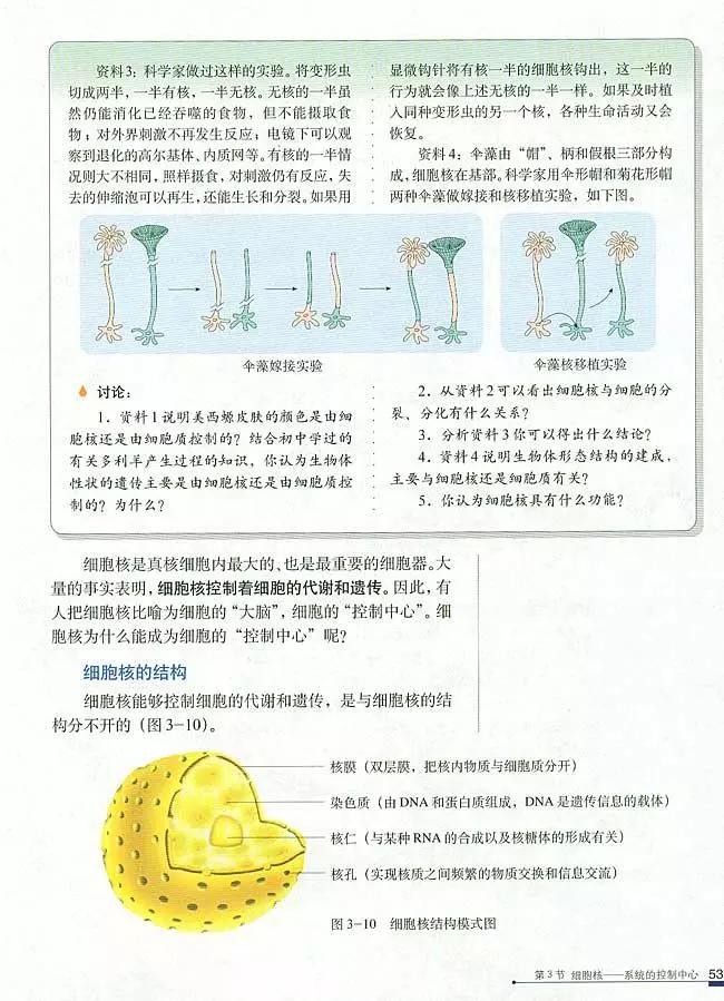 人教版高中生物（必修1）电子课本（高清版）