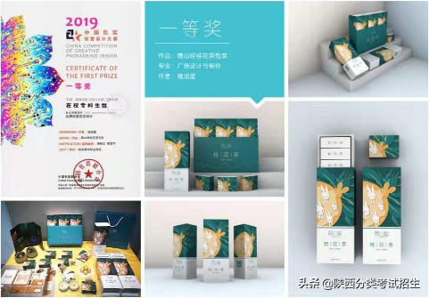 实事求是 朝气蓬勃 ‖ 陕西青年职业学院