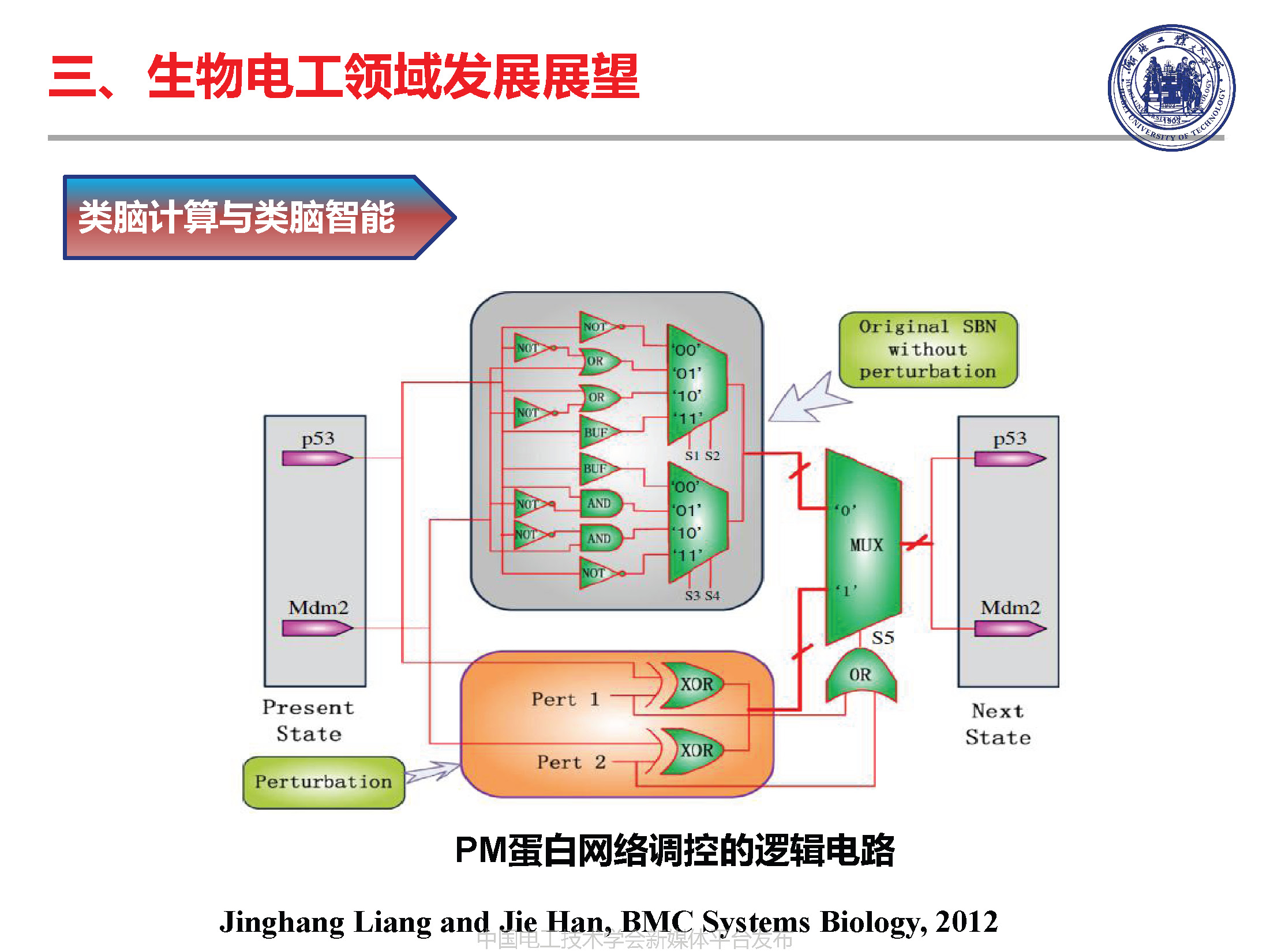 河北工業(yè)大學(xué)徐桂芝教授:大健康背景下生物電工領(lǐng)域的機(jī)遇與挑戰(zhàn)