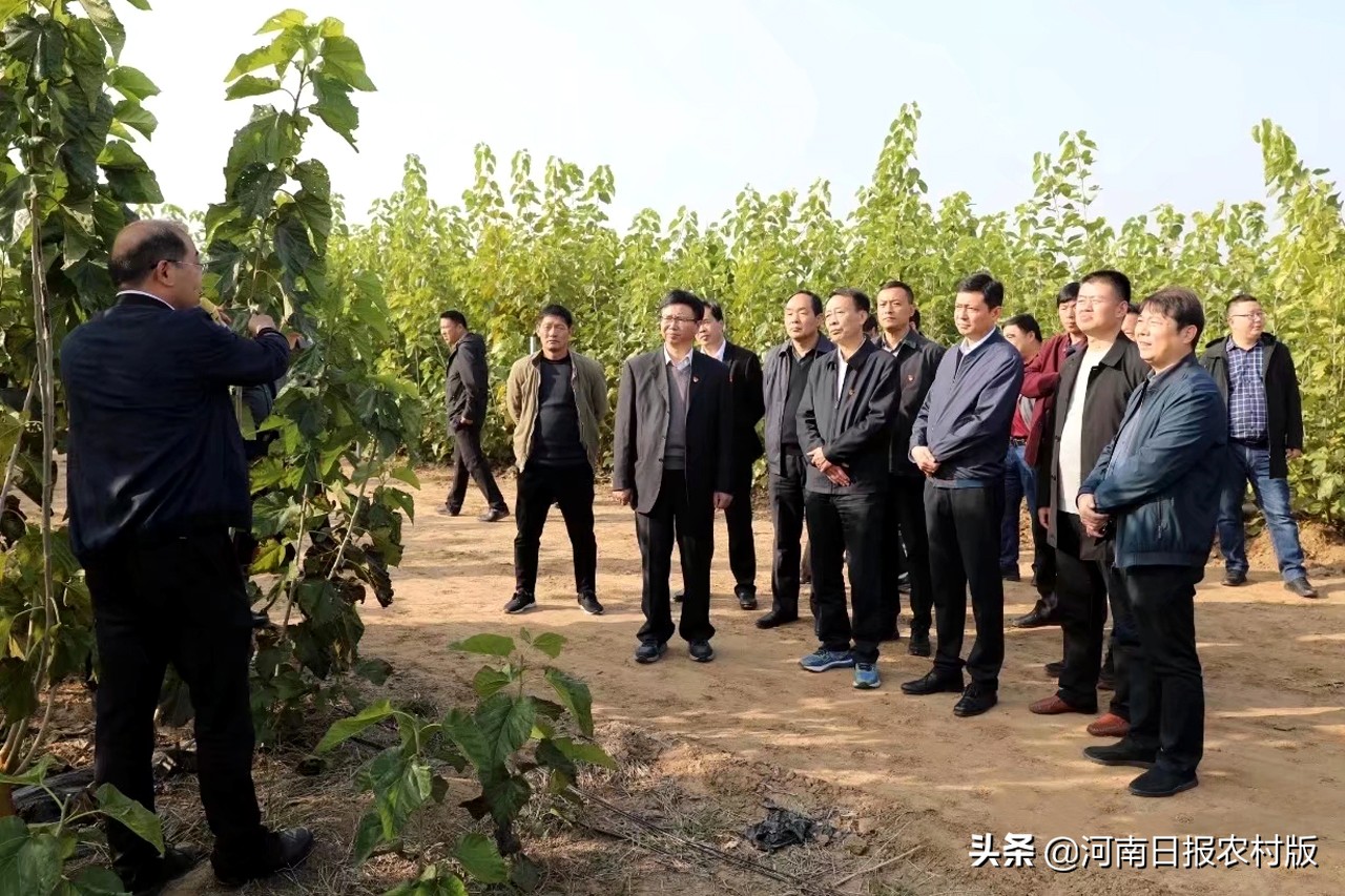 河南农业大学入选教育部第四届省属高校精准帮扶典型项目