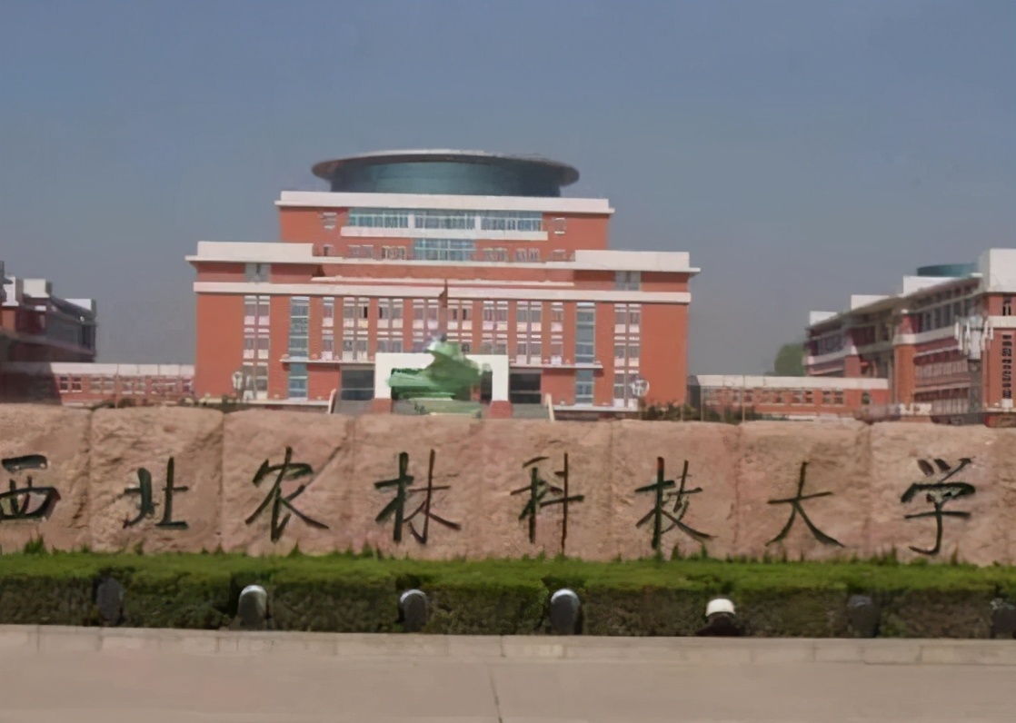 2021高考提前批录取分来了，清华663分起步，部分211院校招生遇冷