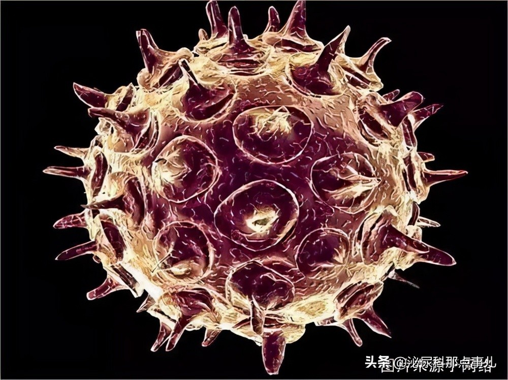 妊娠失败的男性因素有哪些？