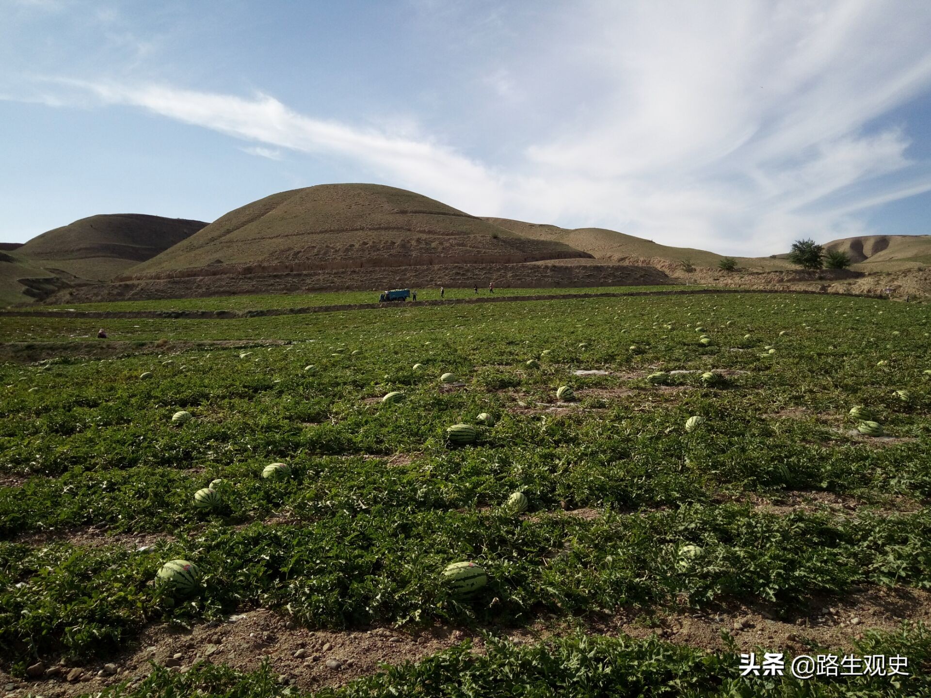 宁夏香山在哪里（形状非常像豆荚的宁夏香山）