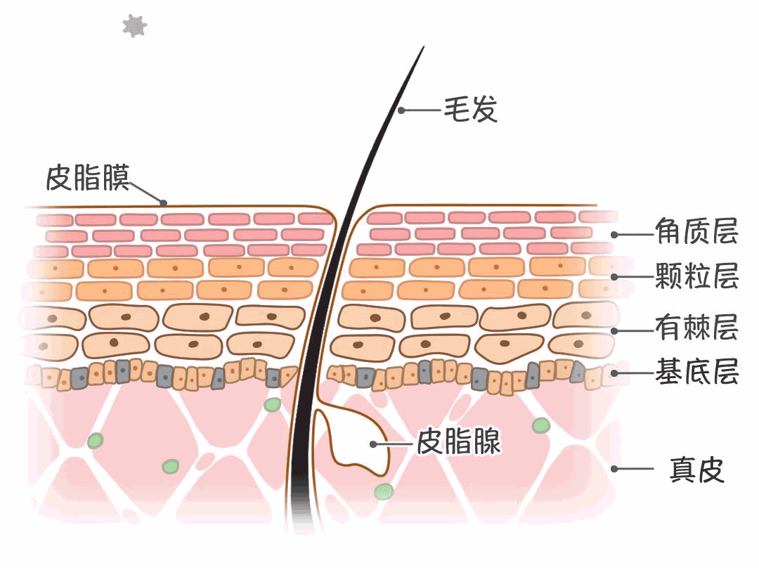 祛痘，刷酸靠谱吗？刷酸跟吃药，如何选择？