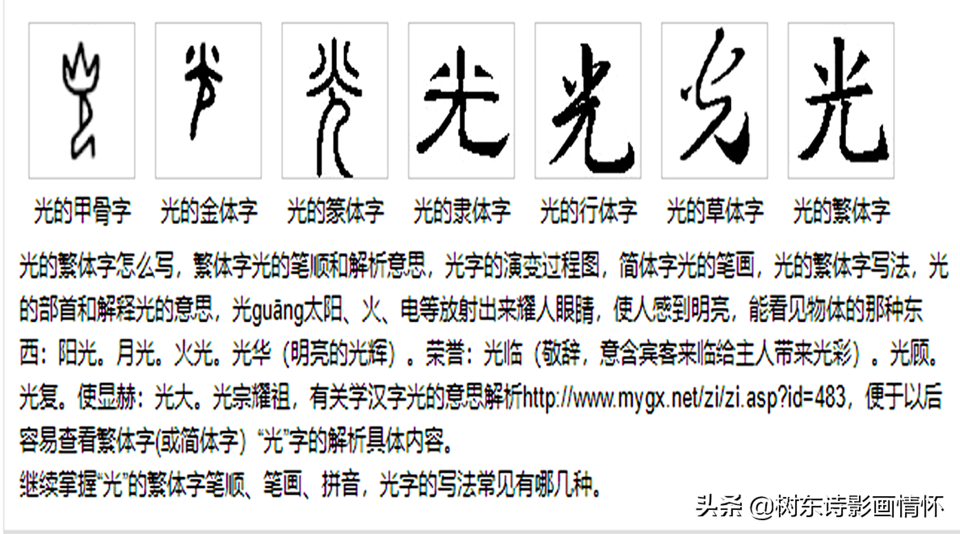 树东说文解字“光”，韬光养晦的历史典故，给我们的启示