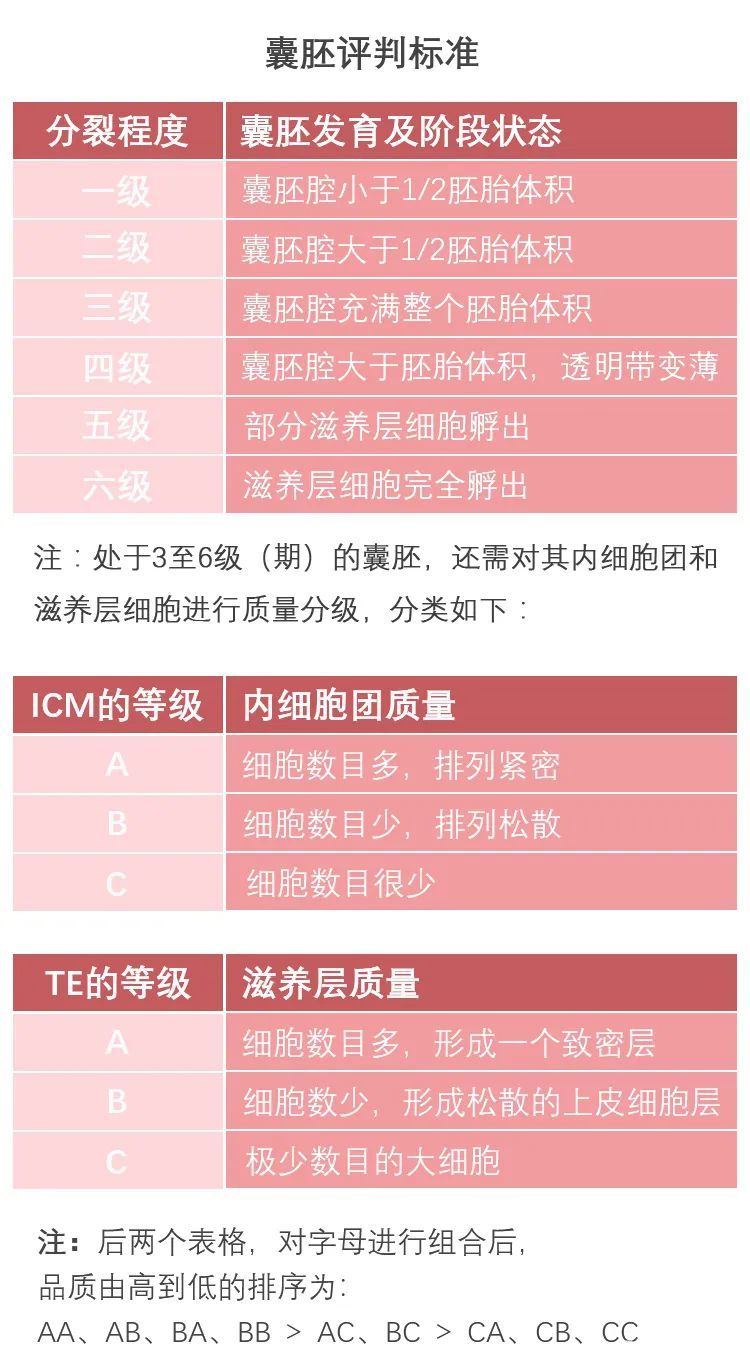 附近!三代試管10個囊胚能篩出幾個有目共睹-第1張圖片-克斯博客