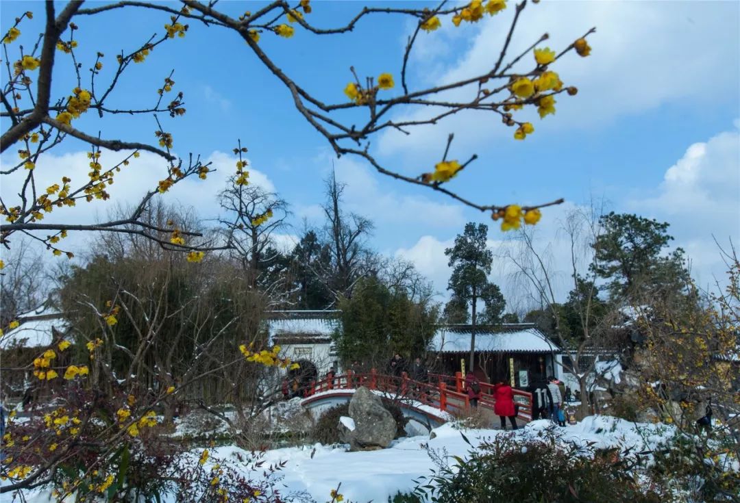 花影飞雪瘦西湖，诗词梦里醉扬州