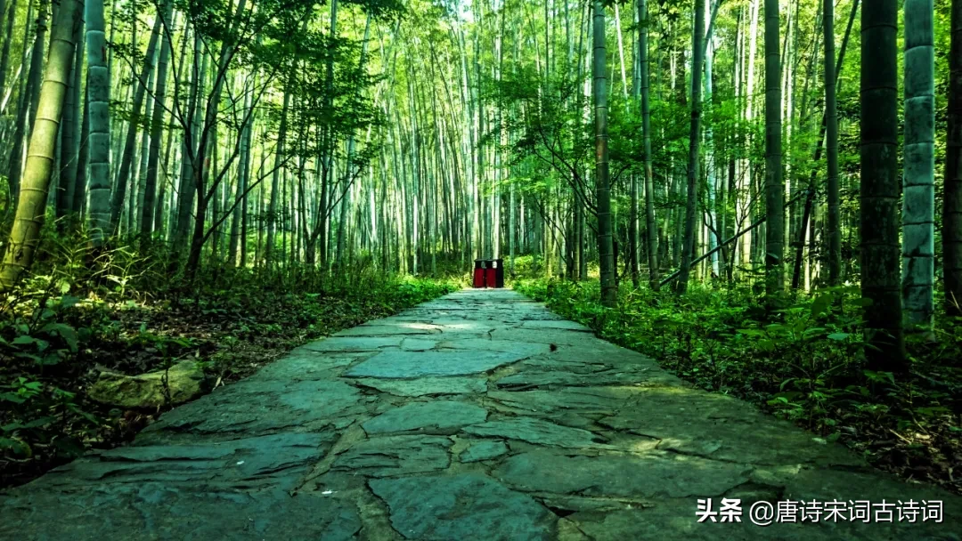 寄一纸诗情予临安
