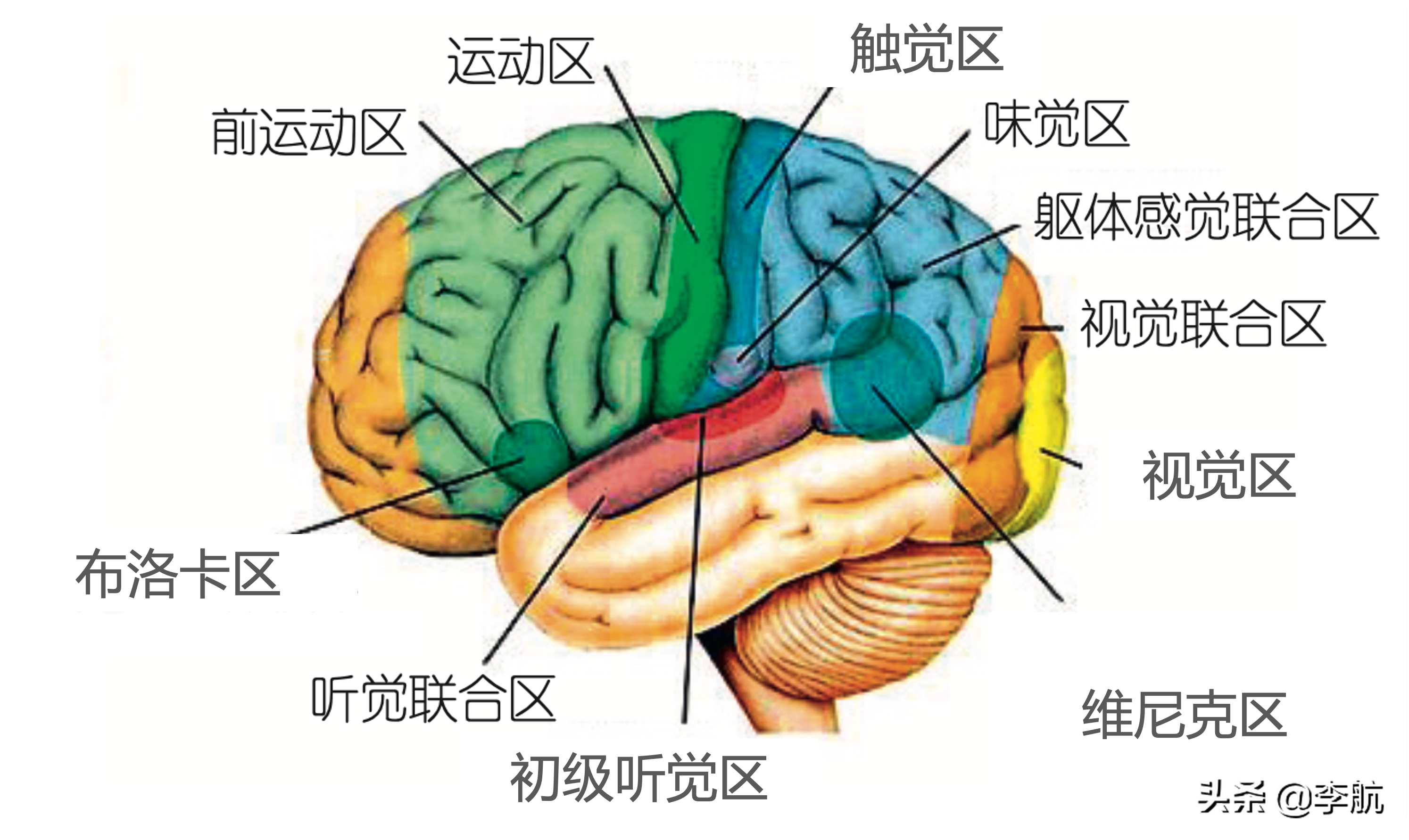 机器能否拥有意识？