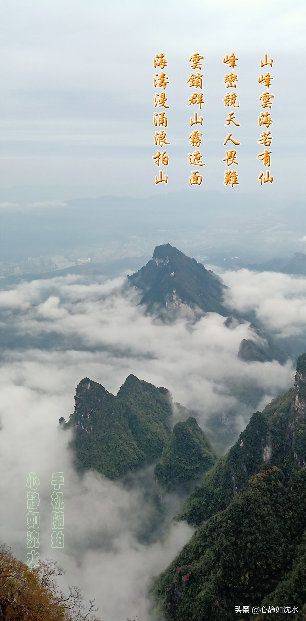 天阴，风冷，品茶读书不观景