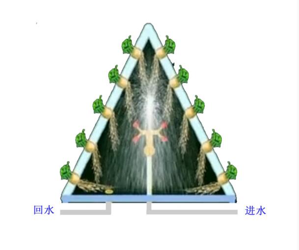 如何教大家用無土栽培（霧培）種植蔬菜，有效避免重茬、病蟲危害