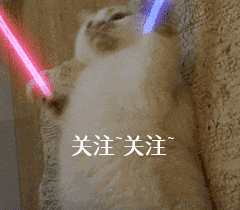 狗界5大“寿星公”，家里养上一只，都很有福气