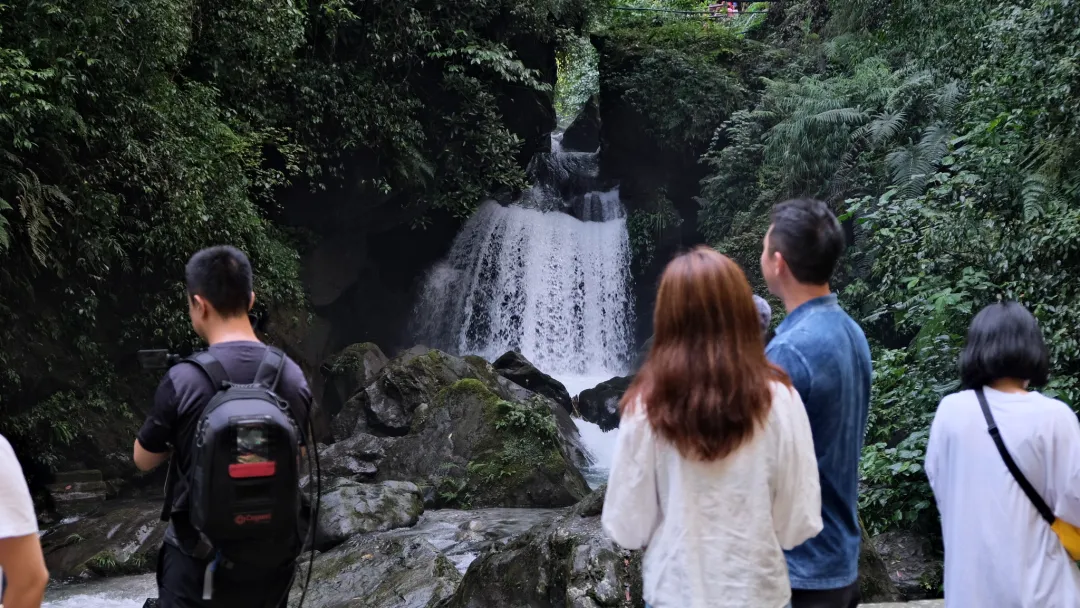 峨眉山直播(一天时间就上了央视、CGTN两场直播，峨眉山你要不要这么火！)