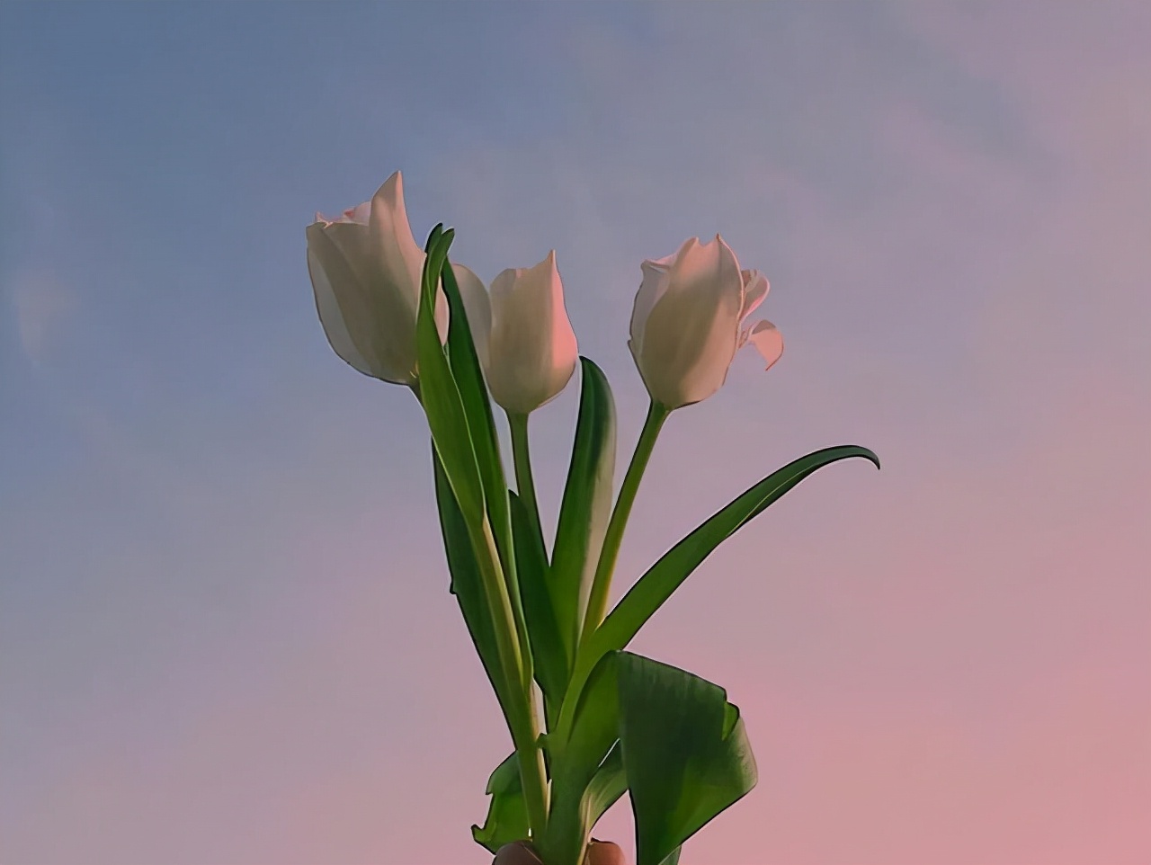 女人这一生，芳华易逝，唯有一身才情，伴随到老