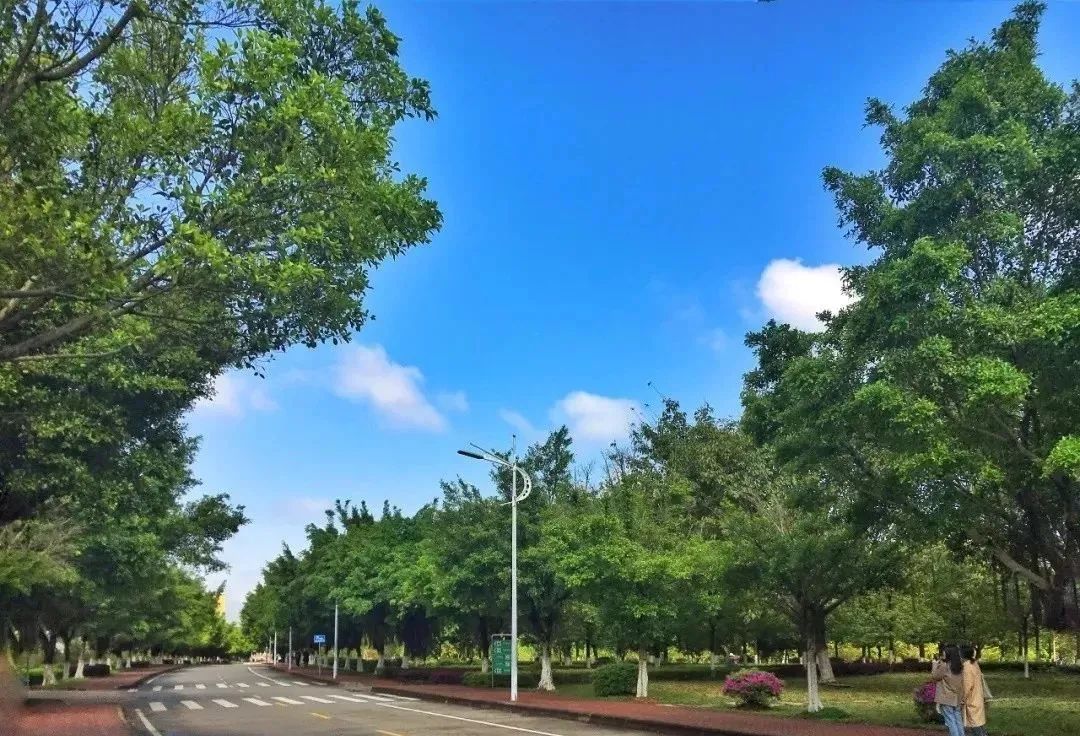 高职高考必看｜全面了解韶关学院