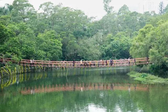 深圳十大免费特色的湖泊公园