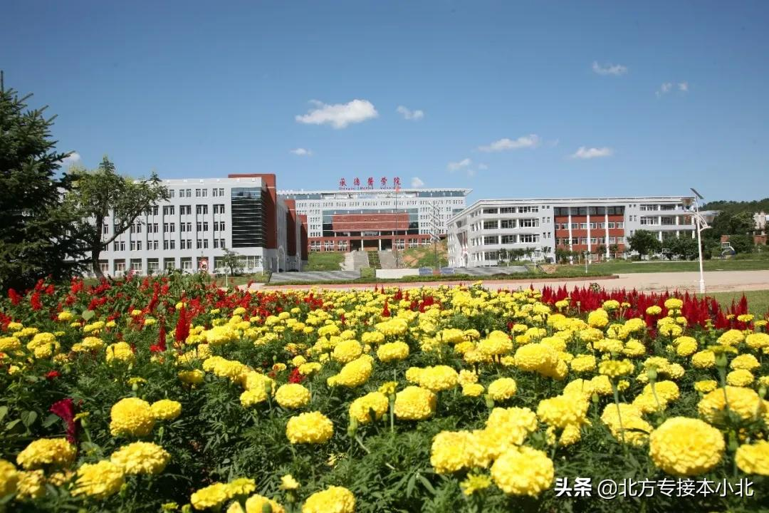 承德医学院:依山而建,四季有绿的“皇家医学院”
